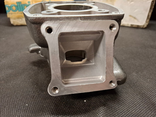 kit gruppo termico POLINI Ø47 a liquido per GARELLI URKA SUPERCICLONE SAHEL